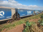 RUMO HTT-351501-0